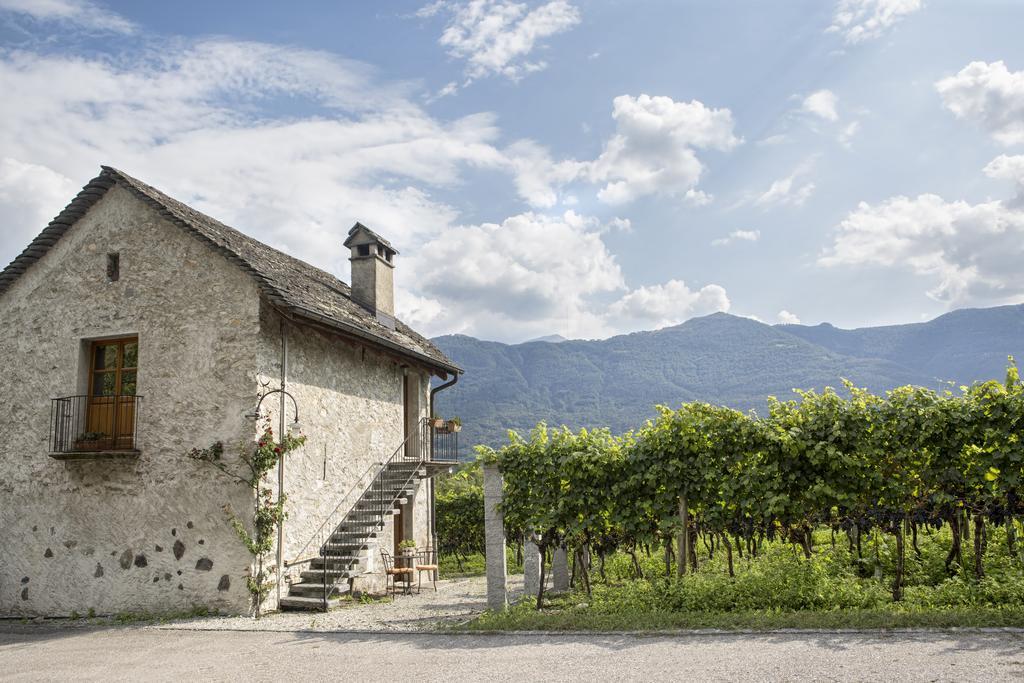 Fattoria L'Amorosa Sementina Exterior photo