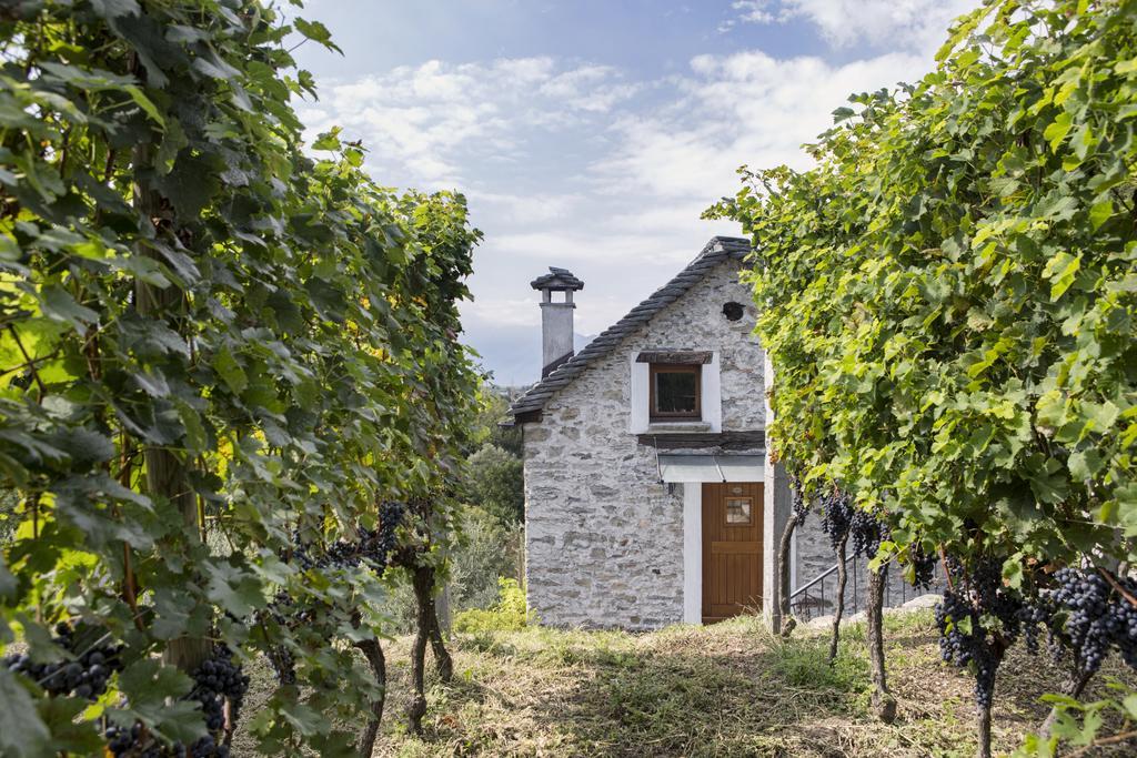 Fattoria L'Amorosa Sementina Exterior photo