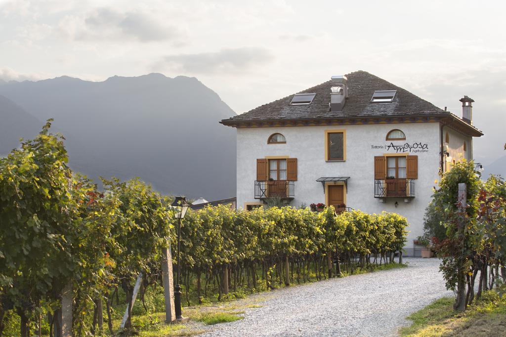 Fattoria L'Amorosa Sementina Exterior photo